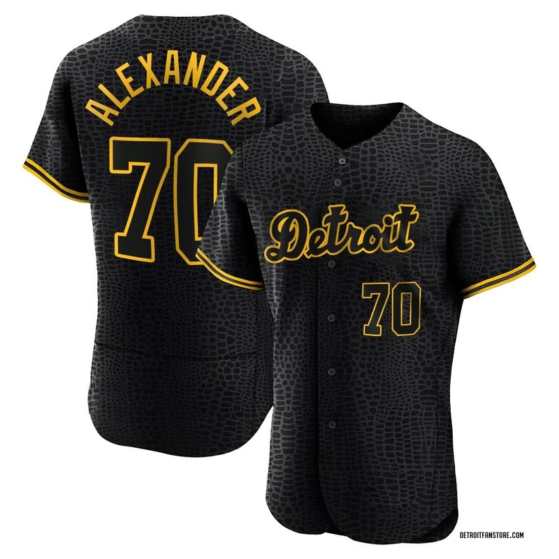 Tyler Alexander 70 Detroit Tigers Navy Alternate Jersey - Dingeas